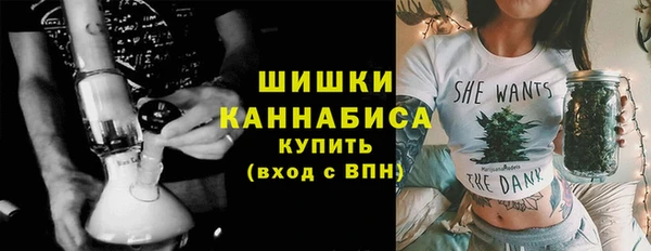 метадон Богданович
