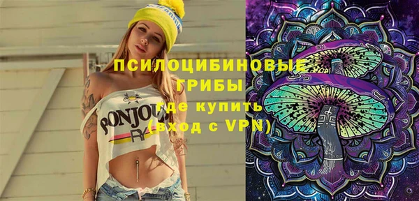 метадон Богданович