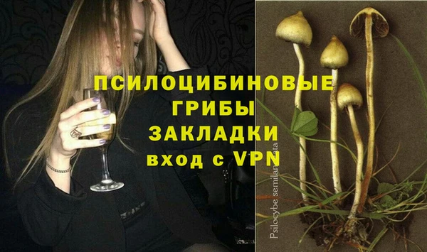 метадон Богданович