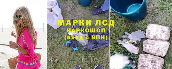 метадон Богданович