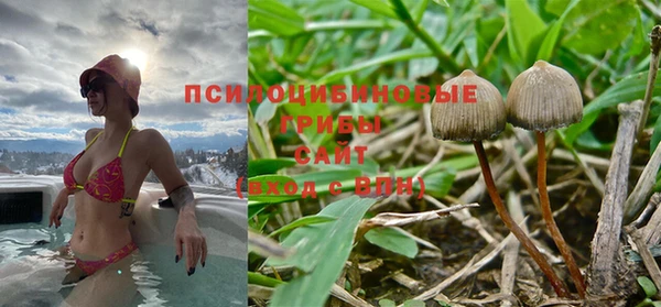 хмурый Богородицк