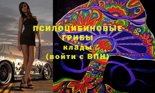 хмурый Богородицк