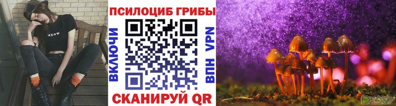 Псилоцибиновые грибы Cubensis  купить   Давлеканово 